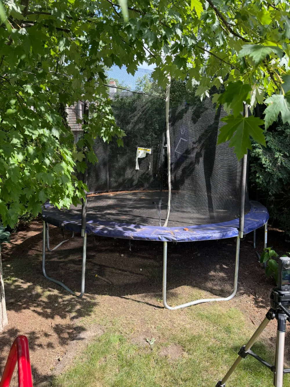 Before: a worn trampoline with a torn safety net in a shaded backyard